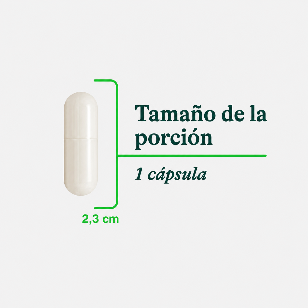 c-probioticos